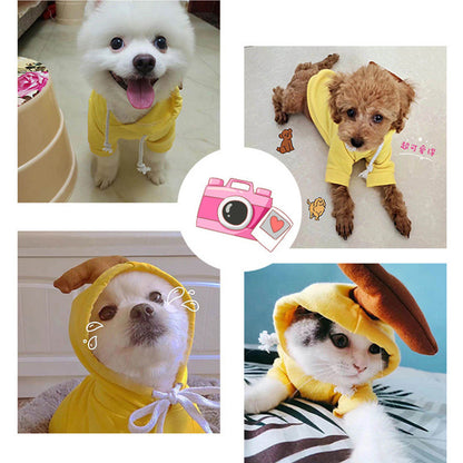 Small Dogs Hoodies