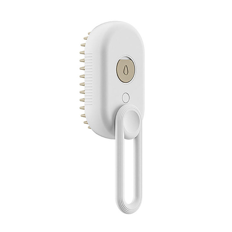 3 X 1 Steam Brush with spray function