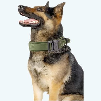 Adjustable Military Dog Collar