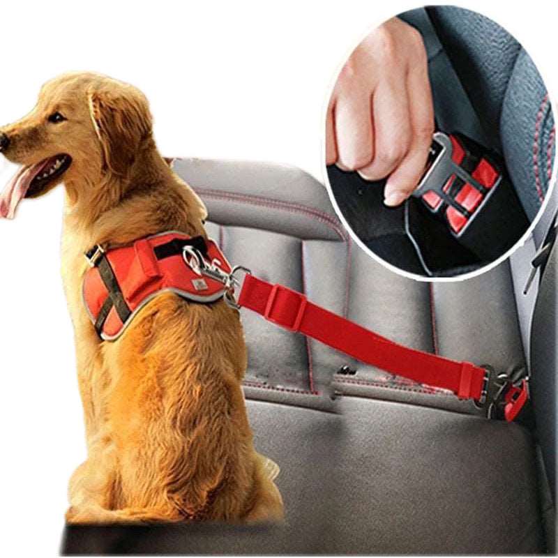 Adjustable Pet Car Seat Belt