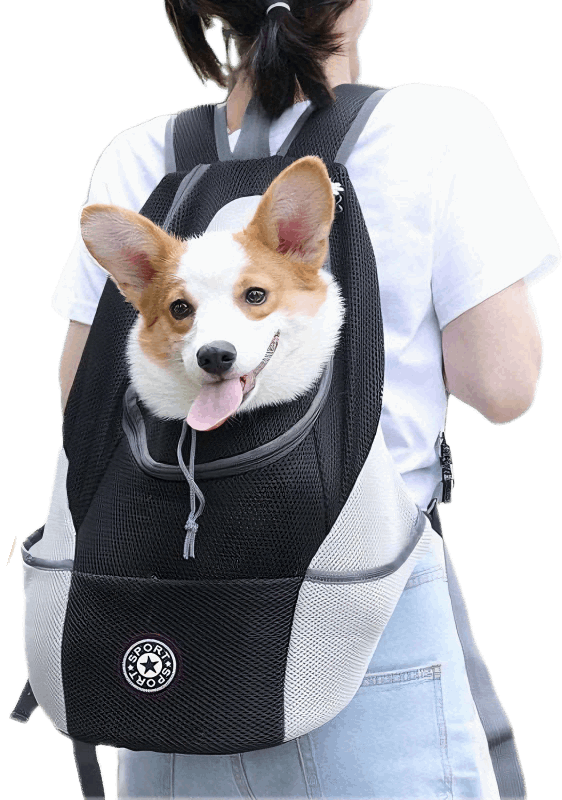 Pet Carrier Backpack