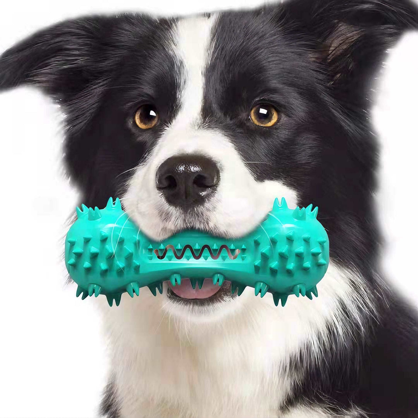 PawChew Dog Toy