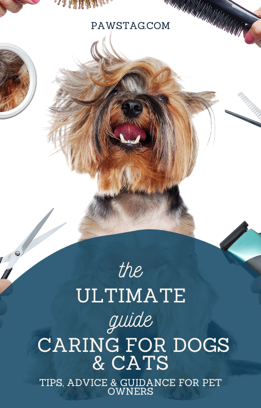 The Ultimate Guide For Pets