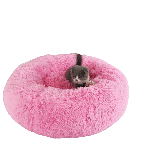 Donut Plush Bed