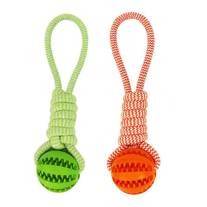 Treat Rubber Ball with Interactive Hemp Rope