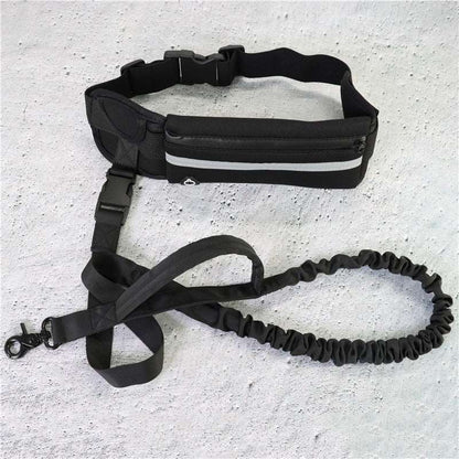 Hands free dog training leash with belt