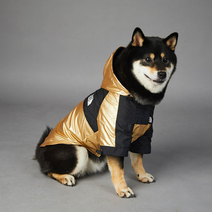 Dog Winter Rain Jacket