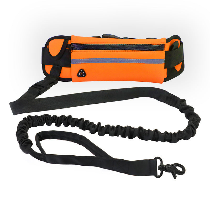 Hands free dog training leash with belt