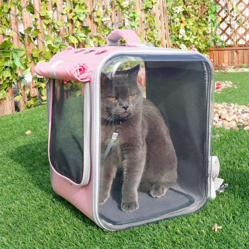 Pet Carrier Backpack BOX