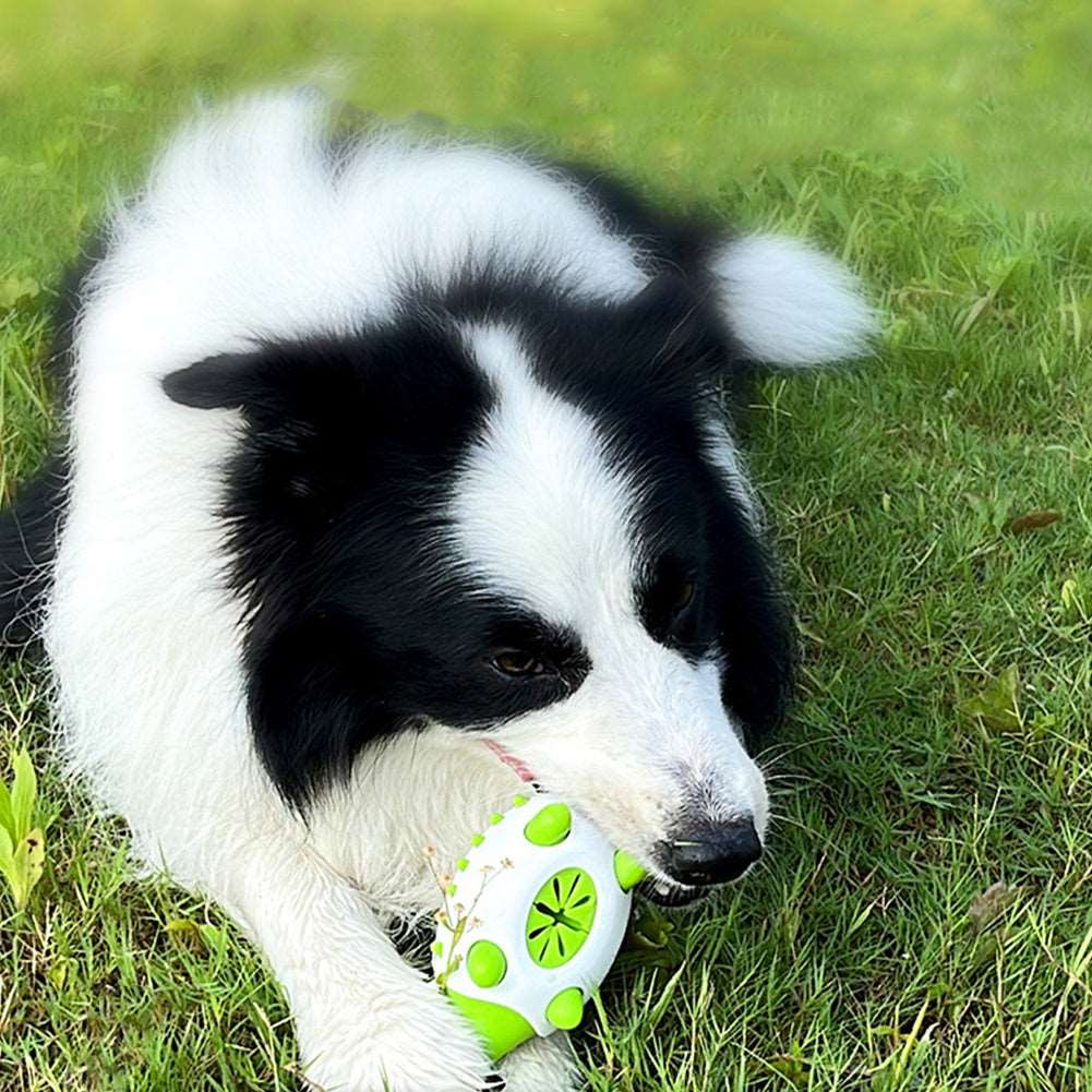 Dog Interactive Toy