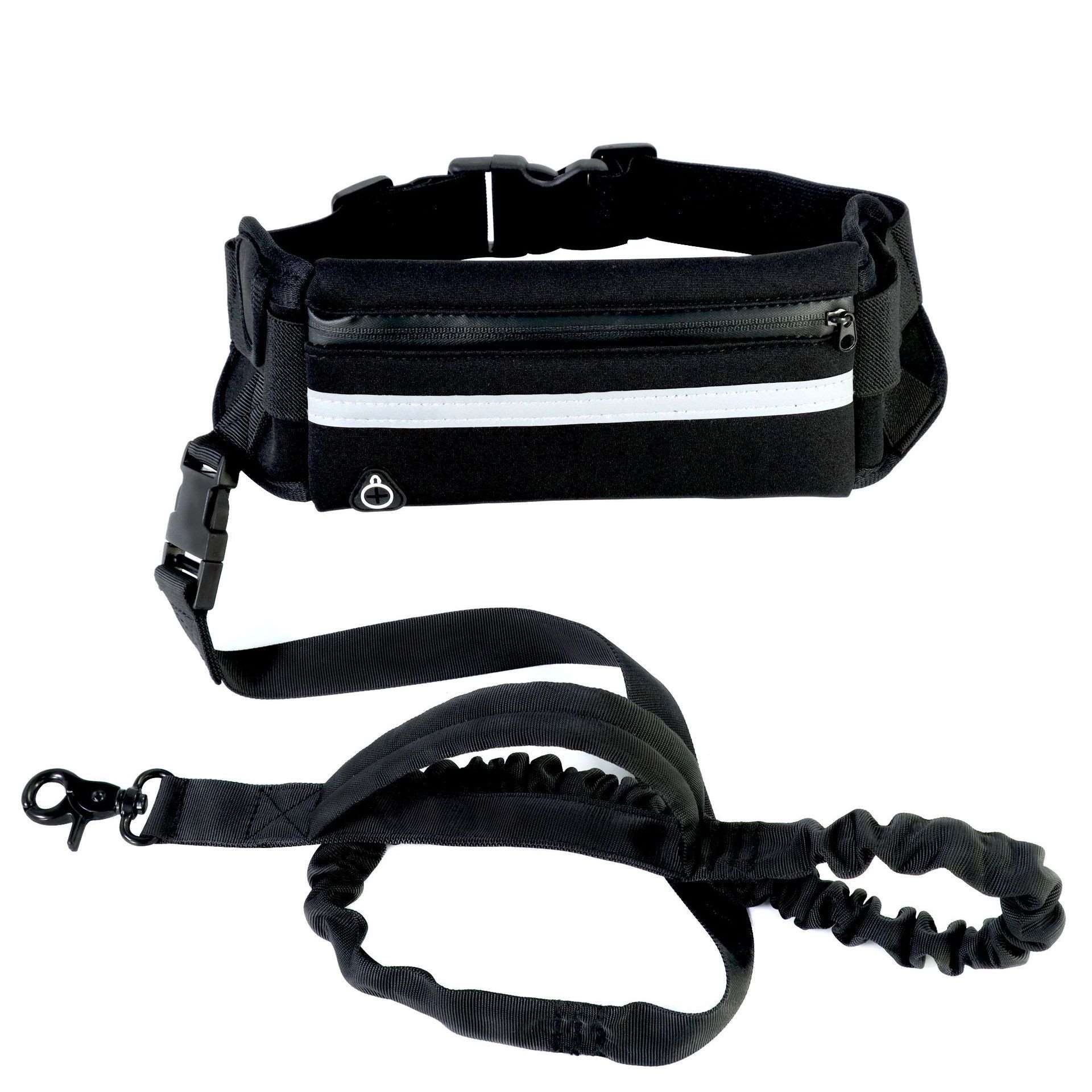 Hands free dog training leash with belt