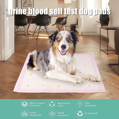 Dog Urine Detection Pad