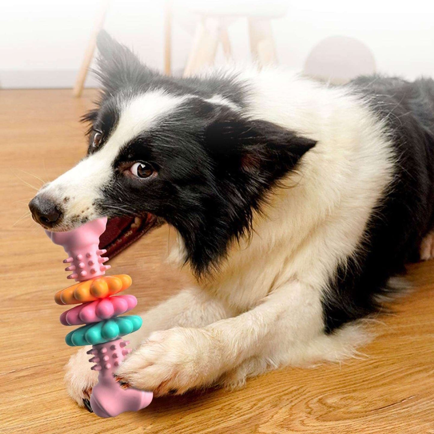 Dog Chew Bone Teeth Cleaning Toys