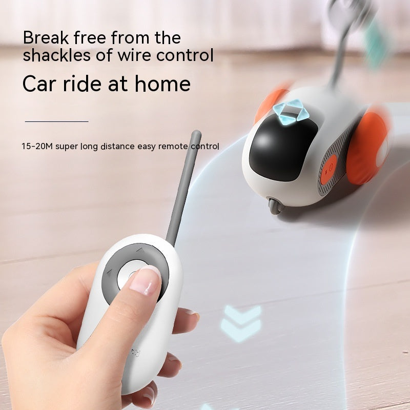 Interactive Cat Smart Car