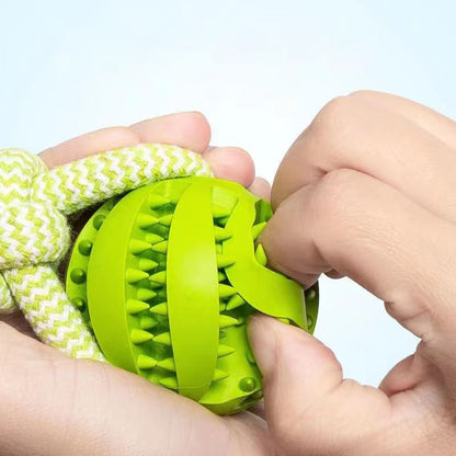 Treat Rubber Ball with Interactive Hemp Rope