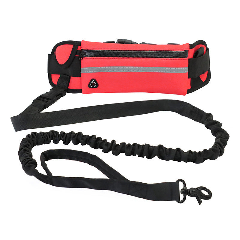 Hands free dog training leash with belt