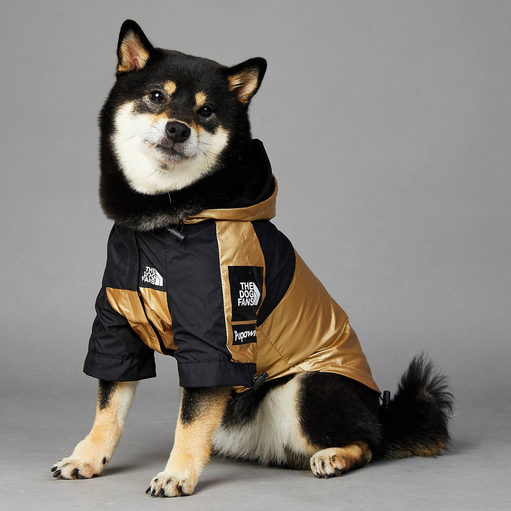 Dog Winter Rain Jacket