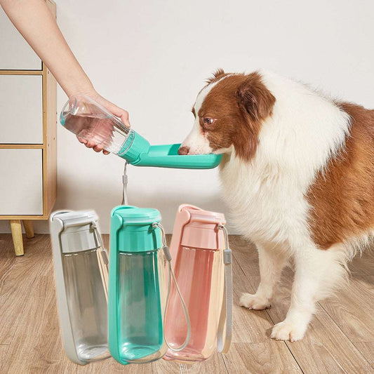 Foldable Pet Water Bottle